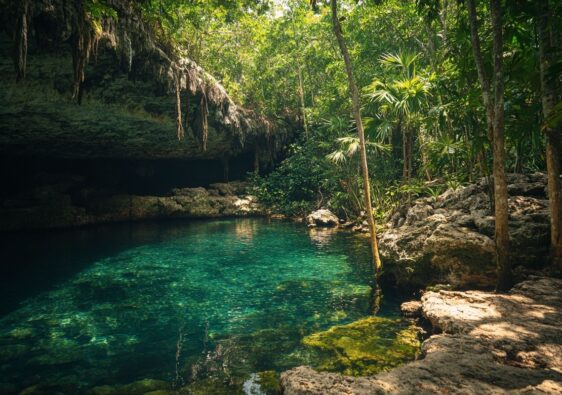 Une aventure unique au Mexique : le Yucatan entre nature et histoire