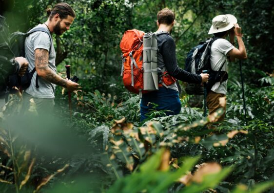 Hikers trekking in a forest together